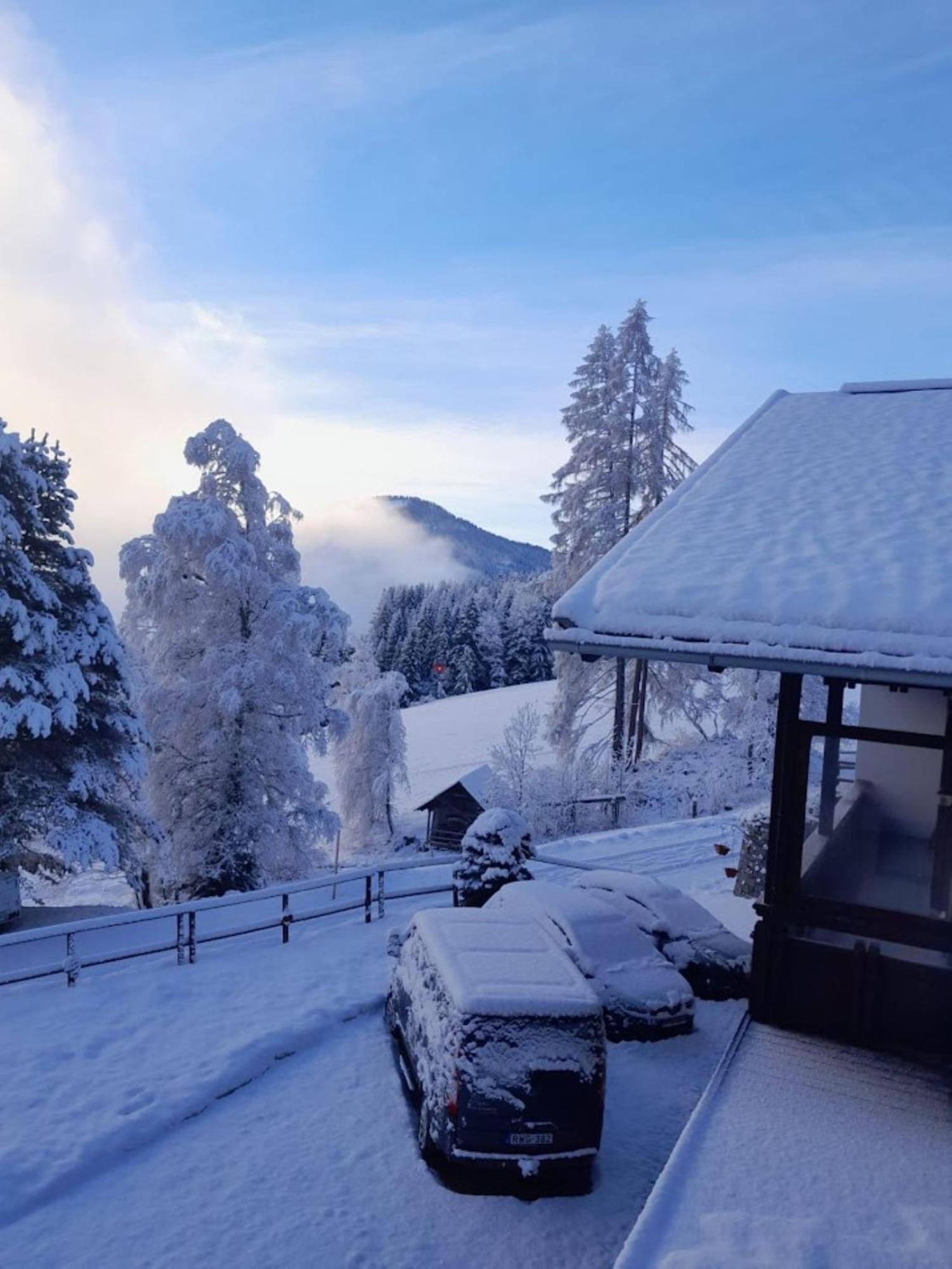 Apartments Pfeffermuehle Bad Kleinkirchheim Dış mekan fotoğraf